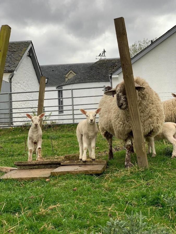 South Doll Farm Cottage Airth Exteriér fotografie